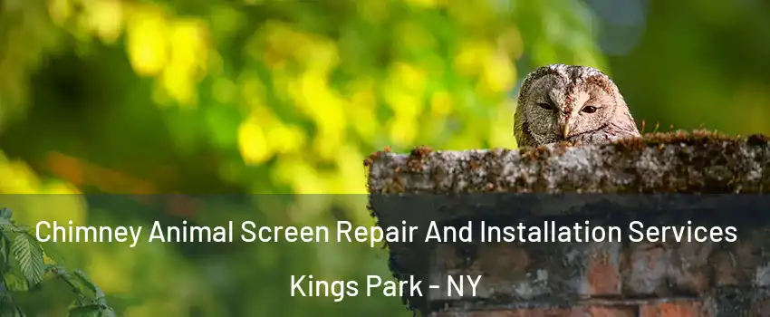 Chimney Animal Screen Repair And Installation Services Kings Park - NY