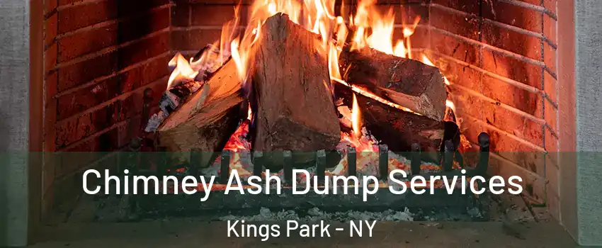 Chimney Ash Dump Services Kings Park - NY
