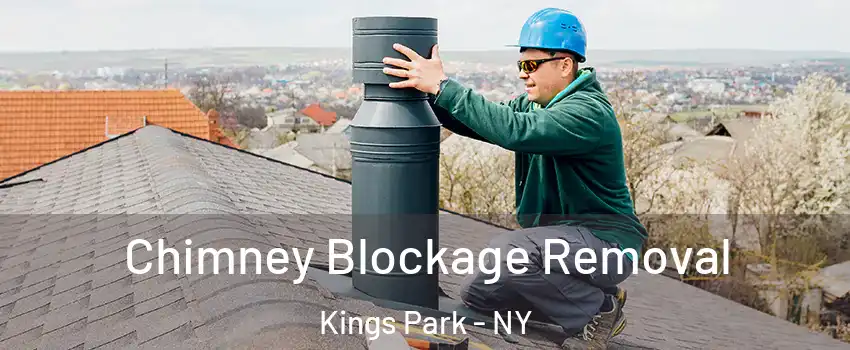  Chimney Blockage Removal Kings Park - NY
