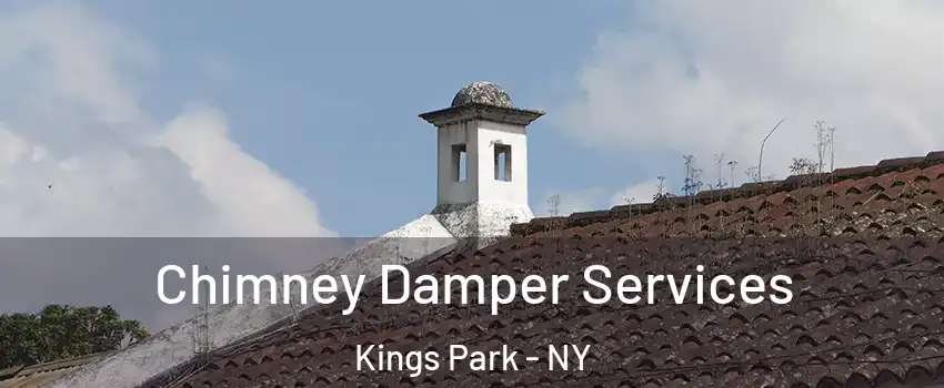  Chimney Damper Services Kings Park - NY
