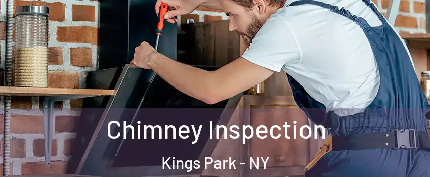 Chimney Inspection Kings Park - NY