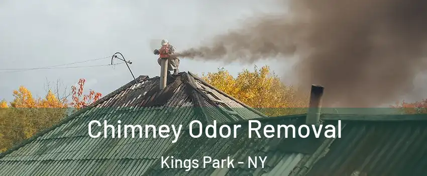  Chimney Odor Removal Kings Park - NY