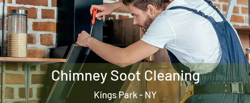  Chimney Soot Cleaning Kings Park - NY