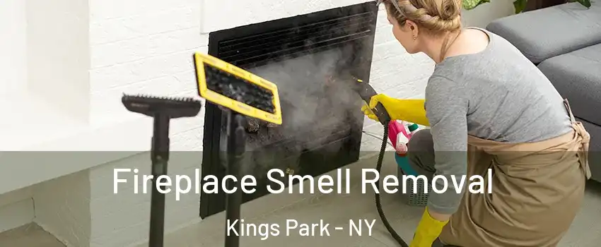  Fireplace Smell Removal Kings Park - NY