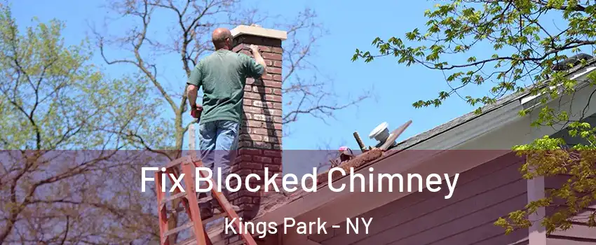  Fix Blocked Chimney Kings Park - NY