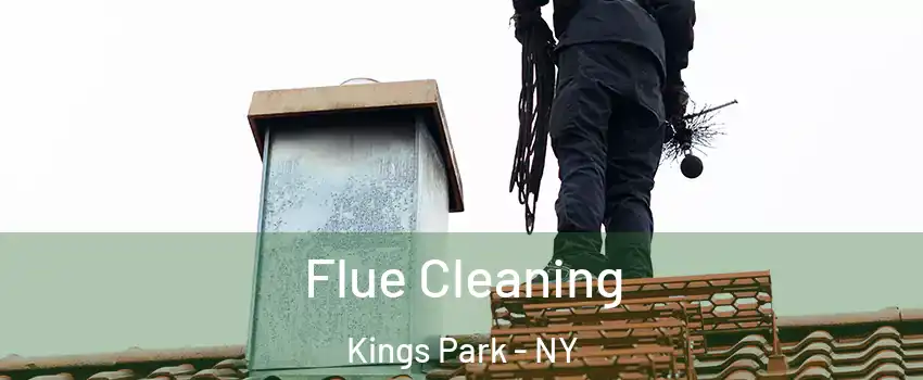 Flue Cleaning Kings Park - NY