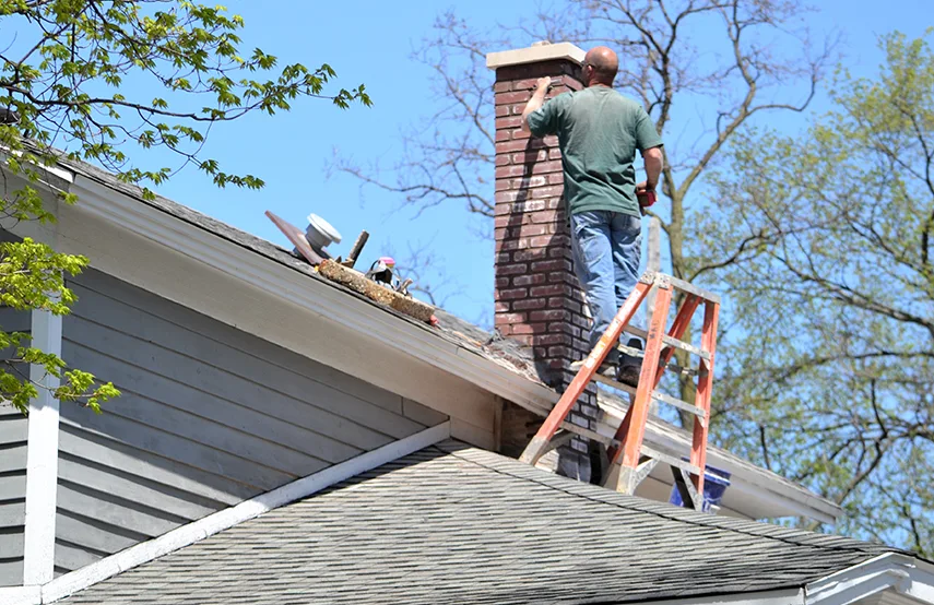 Chimney & Fireplace Inspections Services in Kings Park, NY