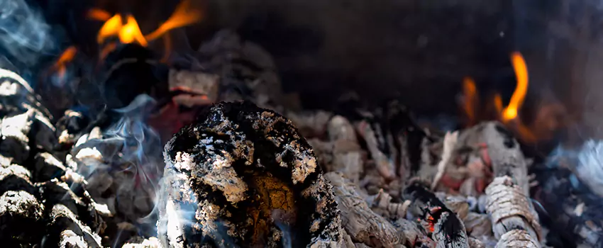 Creosote Removal Experts in Kings Park, NY