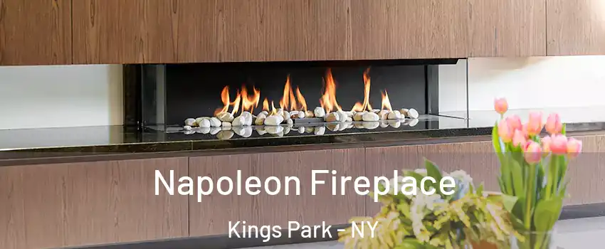  Napoleon Fireplace Kings Park - NY